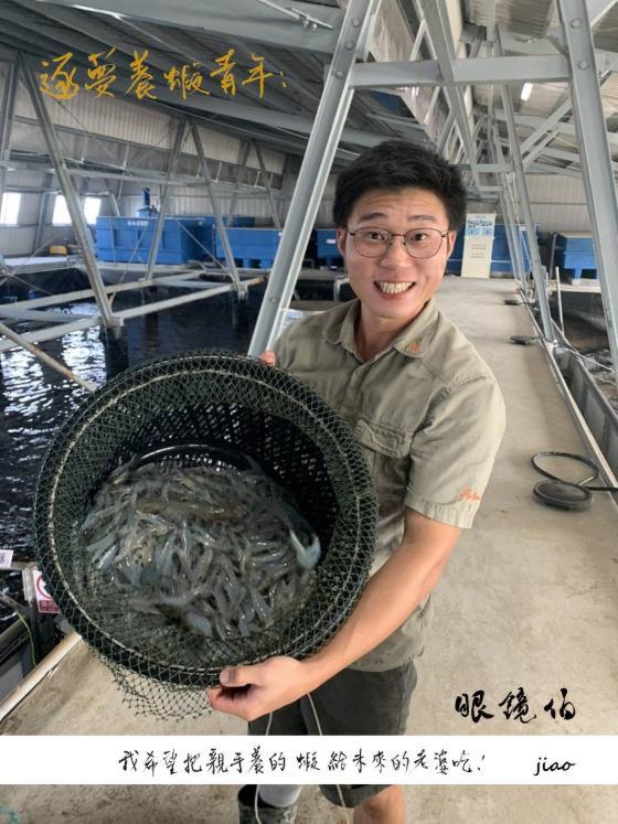 台灣國產海水白蝦,請支持台灣年輕養殖人才,次世代科技,為台灣養出安全的無毒海蝦